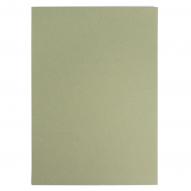 Бумага для пастели GRAFART 270г/кв.м (А4) 210х297мм цв.№700 зеленый эвкалипт